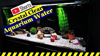 Crystal Clear Aquarium Water - (Very Easy) #shorts