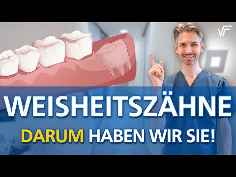 Darum haben wir Weisheitszähne! Die Antwort, weshalb wir diese Zähne überhaupt haben! 🤔