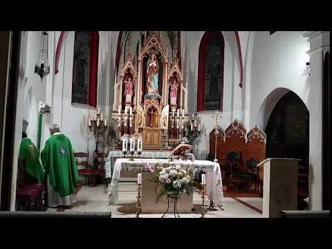 XXVII Niedziela Zwykła (SOBOTA wieczór) 2-10-2021 godz. 18.00