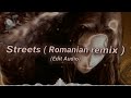 Streets - Doja cat & Serena ( Romanian remix ) // Edit Audio