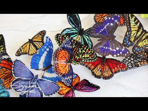 Signature Series Volume II: Butterflies