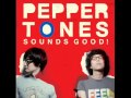 Peppertones - Salary 