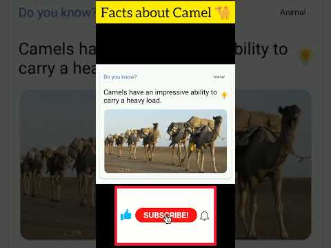 Interesting shorts facts about Camel #camel #shorts #viralvideo