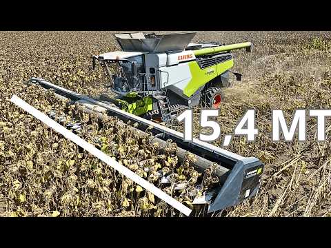 SUNFLOWER HARVEST CLAAS LEXION 8600 NARDI Sunstorm 15 METERS