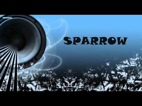 Sparrow hawk-njeri pa te ardhme