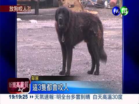 回收場縱犬咬5人?! 鄰居火大嗆聲
