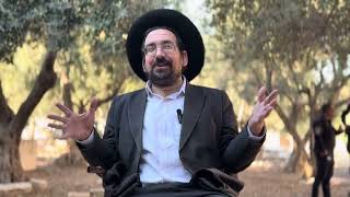 בהר הבית בוחרים במקום החיים | הרב אליהו ובר (ישיבת הר הבית) - התמונה מוצגת ישירות מתוך אתר האינטרנט יוטיוב. זכויות היוצרים בתמונה שייכות ליוצרה. קישור קרדיט למקור התוכן נמצא בתוך דף הסרטון