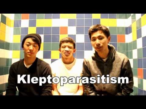 UCLA EEB100 - Explanation of Kleptoparasitism