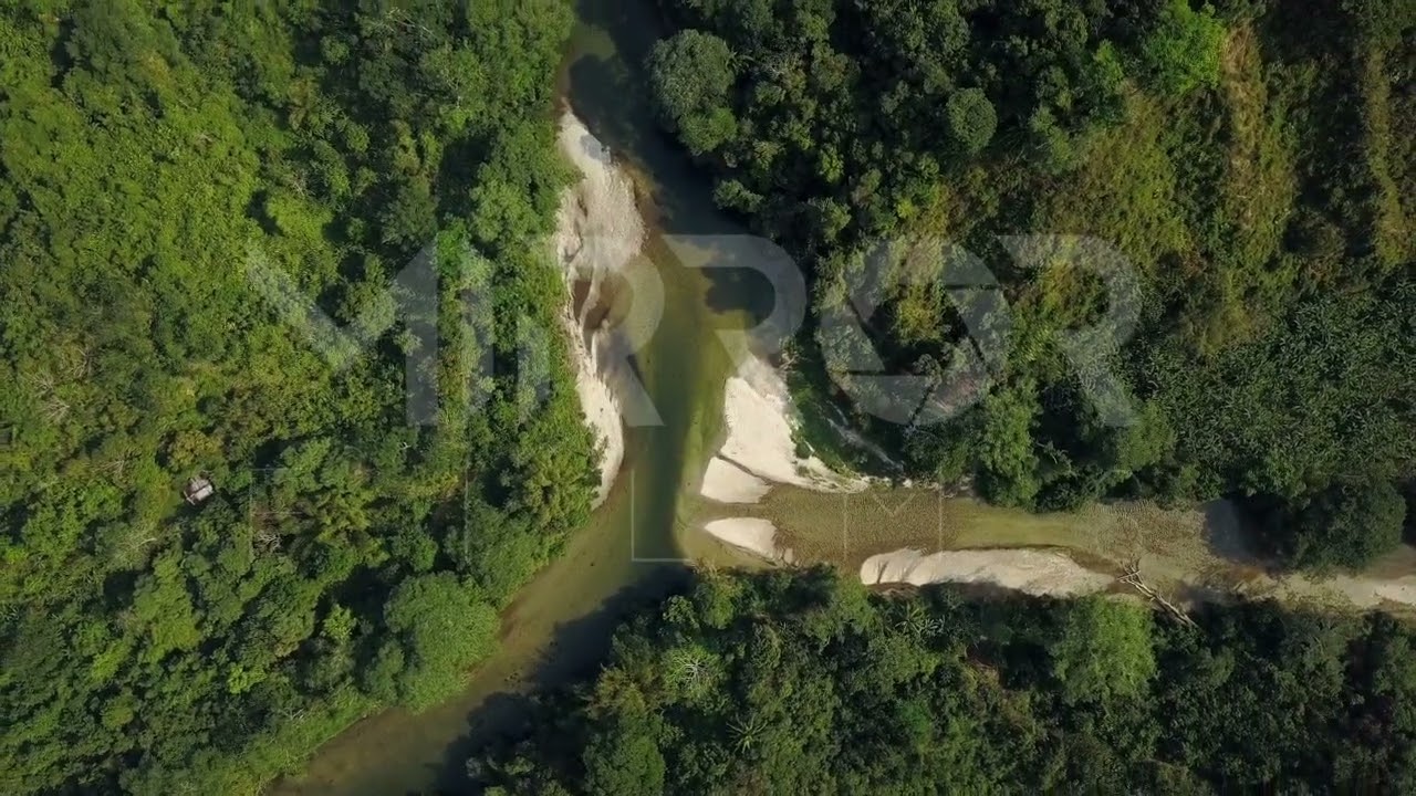 Rio y selva en la Guajira P1
