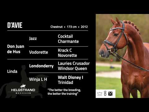 D'Avie by Don Juan de Hus/Londonderry - open house 2018