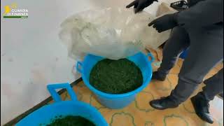 scoperto-e-sequestrato-laboratorio-illegale-per-il-tabacco-da-narghile