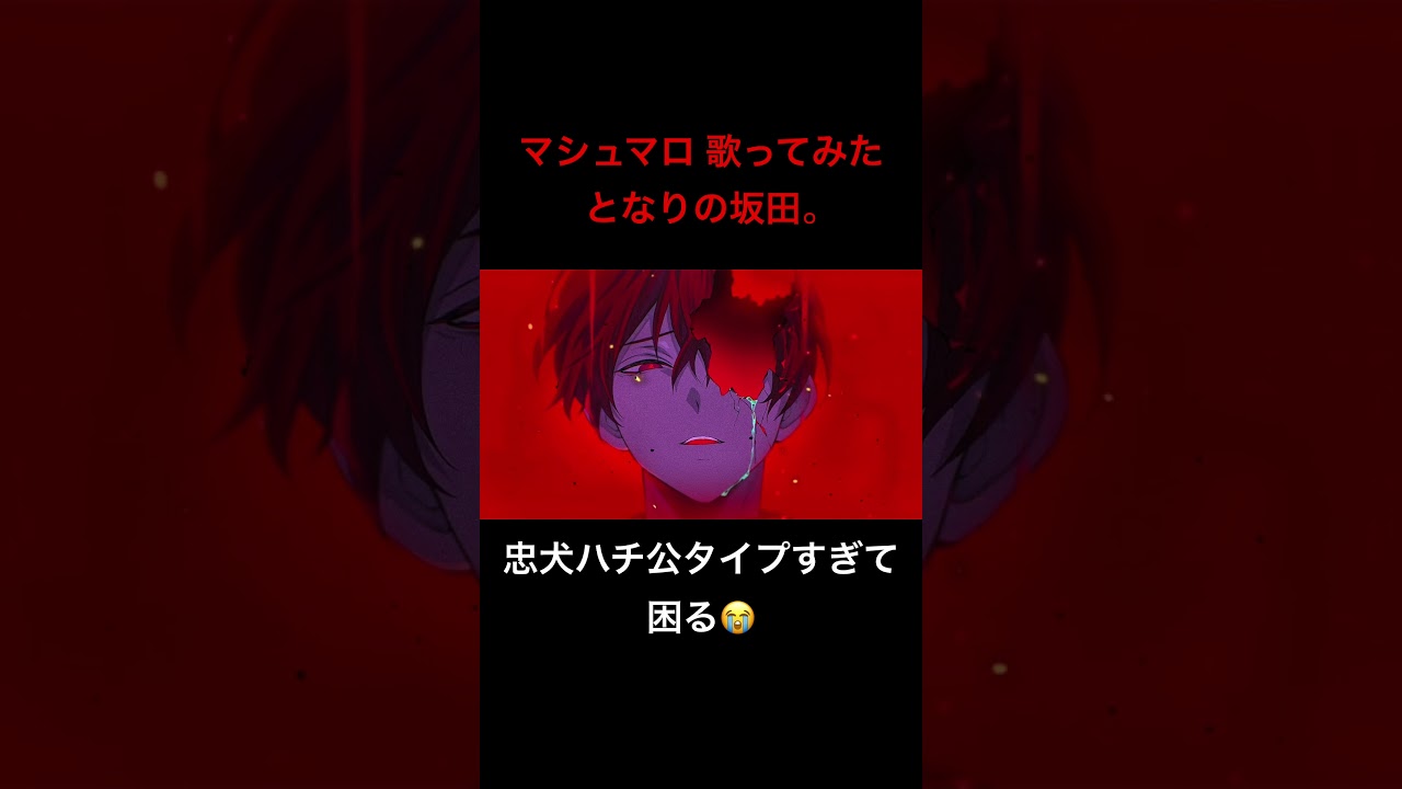 マシュマロ 歌ってみた となりの坂田。 #あほの坂田 #歌ってみた #マシュマロ #病んハピ #歌い手  #歌ったみた #忠犬ハチ公