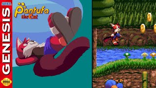 Pantufa the Cat : Extended Edition - Hack of Sonic the Hedgehog [Sega Genesis]