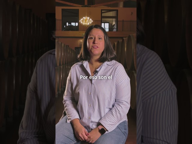 Vídeo relacionado con FunFest - Etiqueta para Botella de Vino Petición de Testigo - "¿Quieres ser mi Testigo?" (Texto en Español)