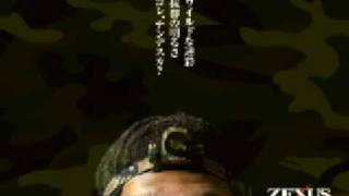 ヘッドライトZEXUSシリーズ