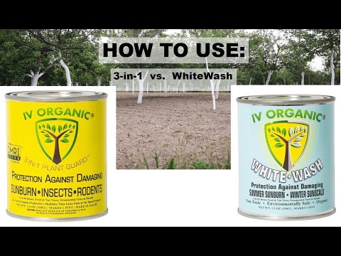 How To Use IV Organic:  3-in-1 & White Wash Products