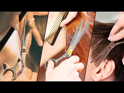 Top 10 Best Hair Cutting Shears in 2024 | Expert...