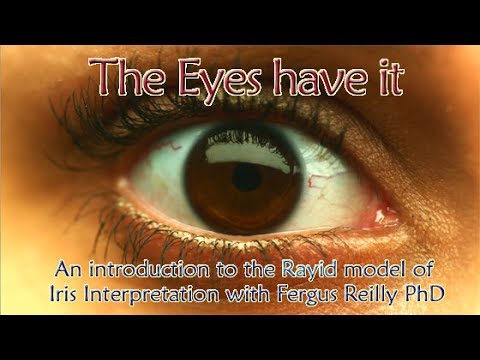 download lagu mp3 mp4 Rayid Model, download lagu Rayid Model gratis, unduh video klip Rayid Model