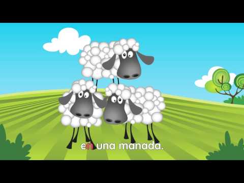 Tengo tres ovejas