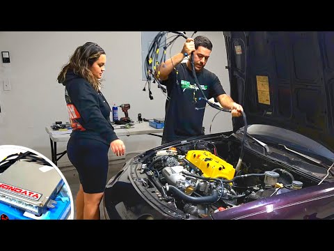 K24 INTEGRA READY TO START! JackSpania Engine Harness / Hybrid Racing Conversion Harness Install