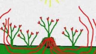 Fernando Mena -  Mi Mariposa (Video Animación) - Golden Porsche - Mogwai