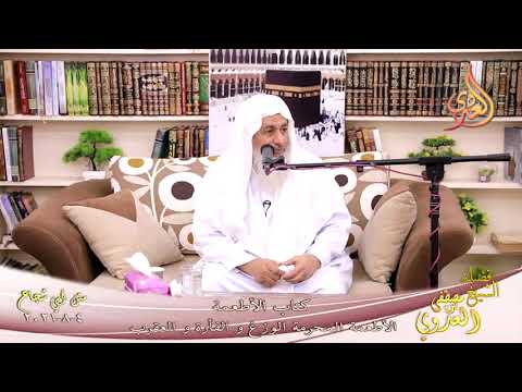  أبو شجاع  كتاب الأطعمة الأطعمة المحرمة الوزغ و الفأرة و العقرب للشيخ مصطفي العدوي تاريخ 4-8-2021 