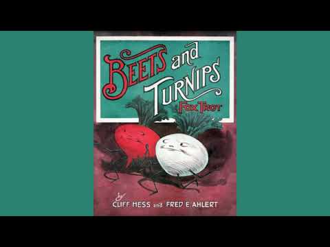 Beets And Turnips 1915 QRS Player Piano Roll