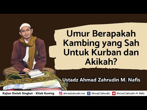 Umur Berapakah Kambing yang Sah Untuk Kurban dan Aqiqah? | Ahmad Zahrudin M. Nafis Taqmir.com