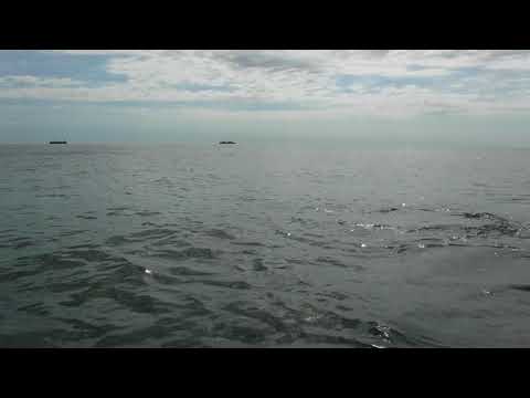 6 16 18 DOLPHIN ADVENTURE SAT 9 AM   13