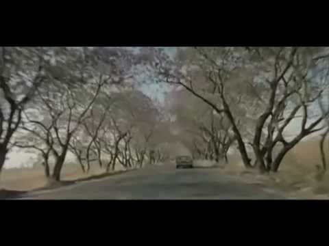 Marco Antonio Solis - Si no te hubieras ido - Y tu mamá también