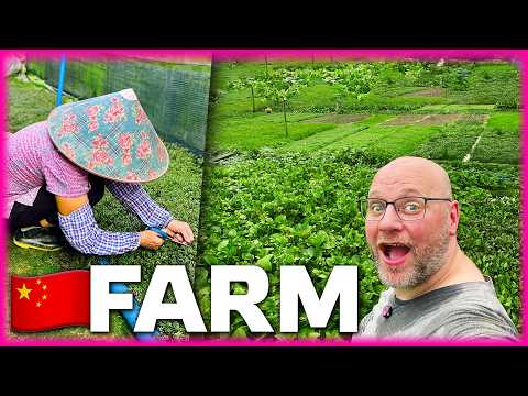 Film Duża farma roślin akwariowych w Chinach.