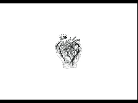 video frame placeholder