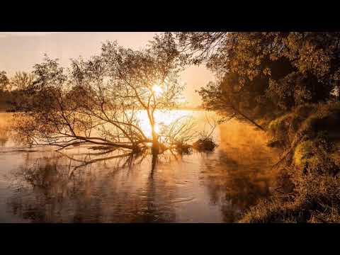 Cornelia Andreika – Nimeni în afară de tine