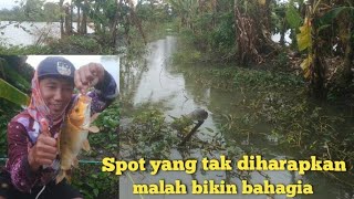 Download lagu Unexpectedly, fishing in a spot like this will have lots of carp. mp3