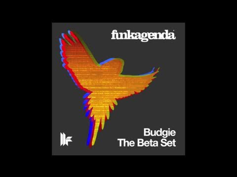 Funkagenda 'Budgie/The Beta Set' TEASER VIDEO