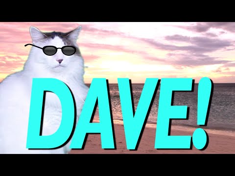 HAPPY BIRTHDAY DAVE! - EPIC CAT Happy Birthday Song