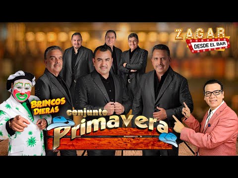 Zagar desde el Bar con Conjunto Primavera y Brincos Dieras