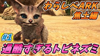 【わらしべARK焦土編】最弱のトビネズミから最強のボスを目指す過酷な物語が今始まる [ARK MOD 実況] #1