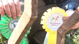 sciopero-della-fame-maurizio-non-molla-ridatemi-i-miei-cani