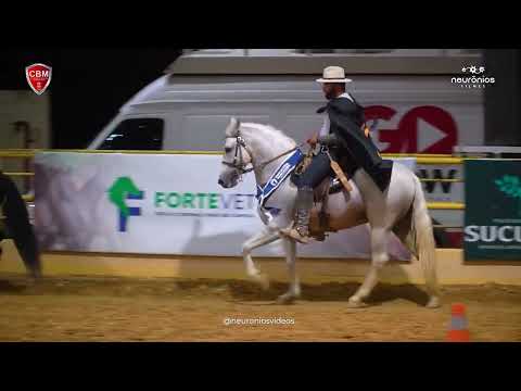 Zero Um da Baviera, 1° Prêmio Brasileiro de Marcha Picada CBM 2022