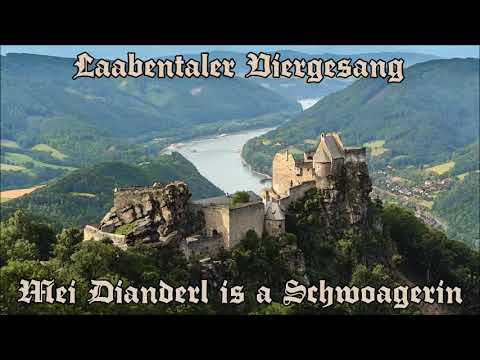 Laabentaler Viergesang - Mei Dianderl is a Schwoagerin