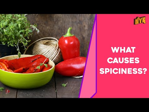 What Is the Science Of Spiciness?