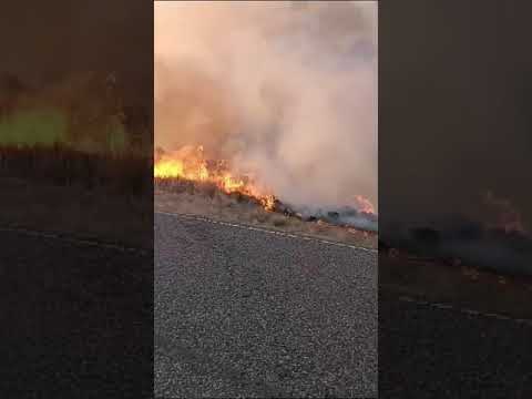 Se suman los focos de incendios de pasturas en #sanluis #laslagunas