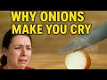 Why Do Onions Make You Cry? | The Surprising Science Behind It