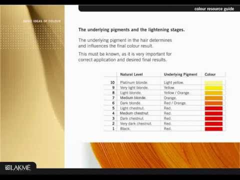 Basic Ideas of Color