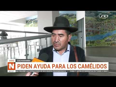 Cochabamba: Nevada azota al municipio de Cocapata y su alcalde pide ayuda
