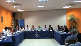 Ple extraordinari de 29 d'octubre de 2015