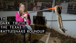 The Texas Rattlesnake Roundup: The Dark Truth