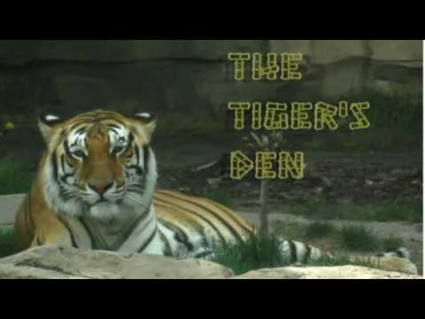 June 29th Power Trading Hour with David White on TFNN   2016