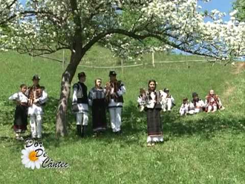 Catalina Rotaru - Haideti mai flacai la joc